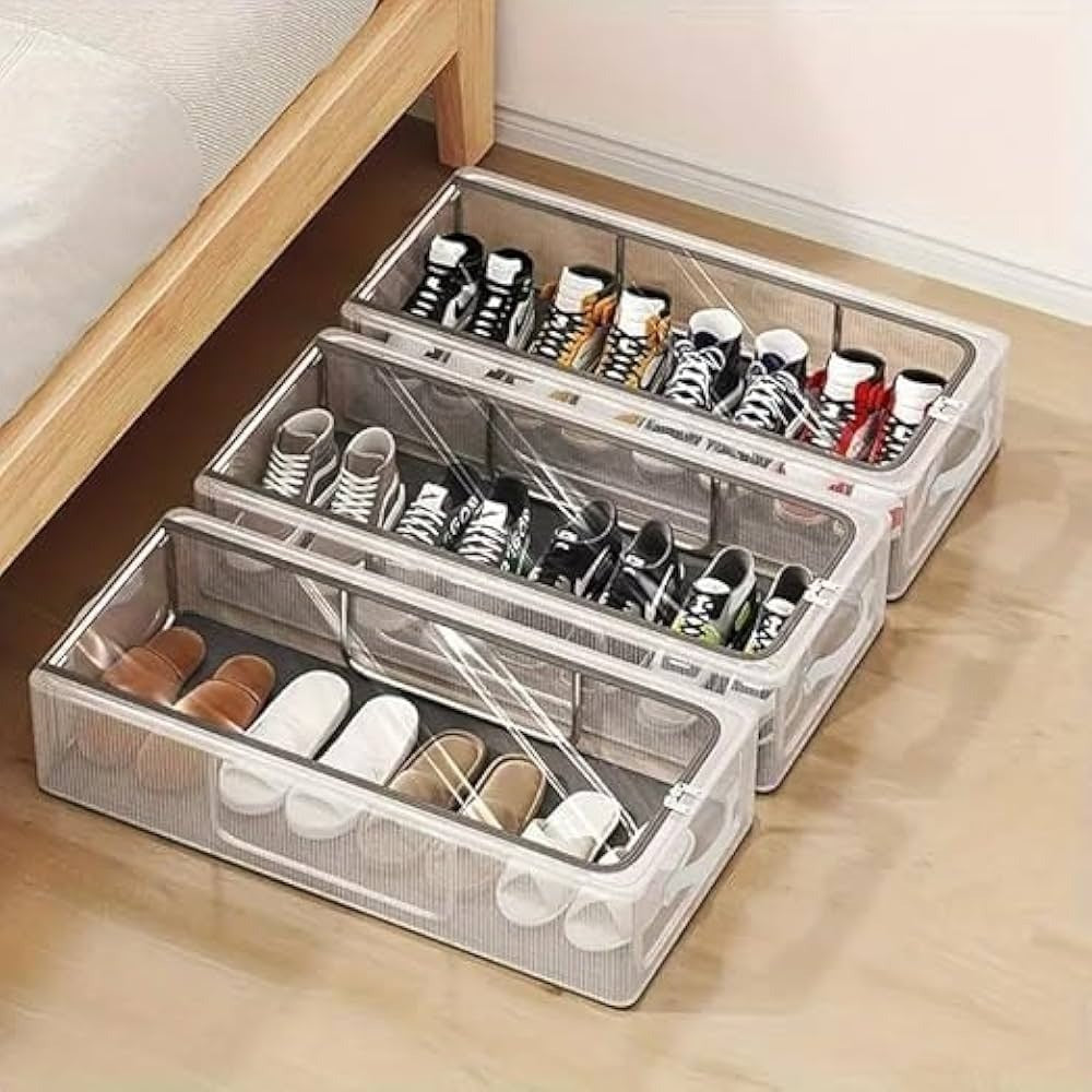 Transparent Shoe case