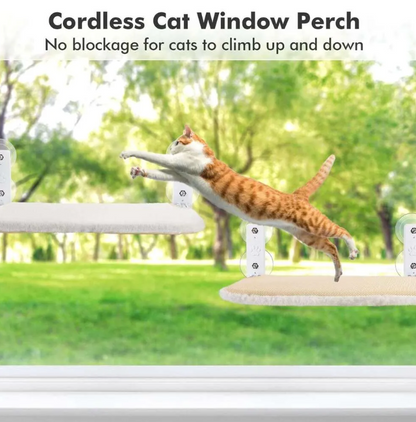 🐱Foldable Cat Window Padded Perch