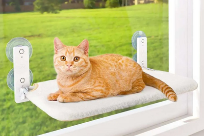 🐱Foldable Cat Window Padded Perch